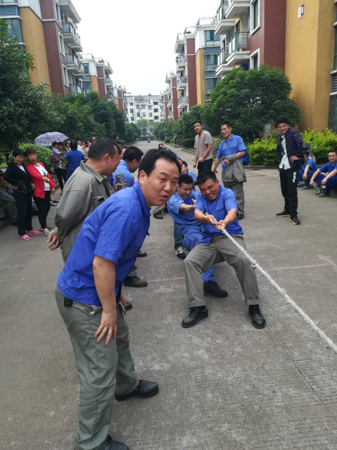 仙鶴股份有限公司官方網站 仙鶴股份有限公司官方網站